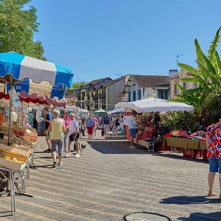 A Barbotan-les-thermes, Wi-fi, Animaux Bienvenus - Fr-1-841-84